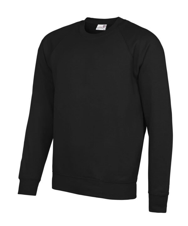 Academy Senior academy raglan sweatshirt