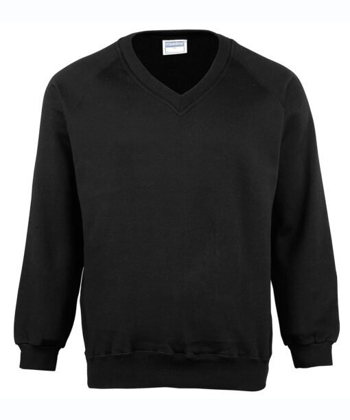 Maddins ColoursureÂ™ v-neck sweatshirt