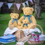 Mumbles Bracken bear - Soft Toys | Xcel UK