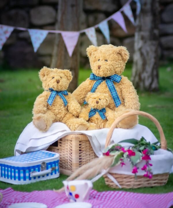 Mumbles Bracken bear - Soft Toys | Xcel UK