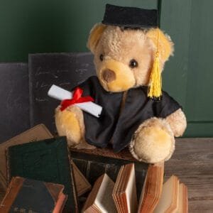 Mumbles Graduation bear
