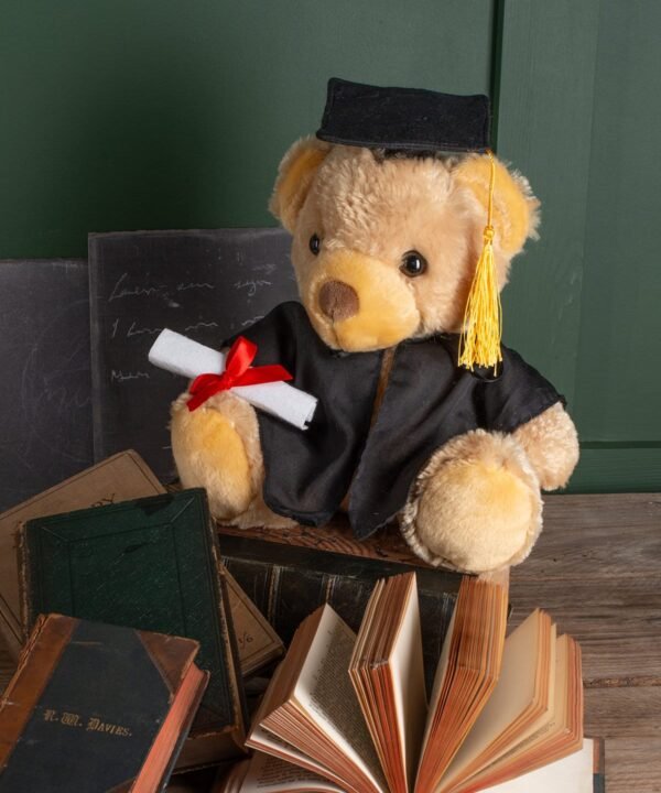 Mumbles Graduation bear - Cap | Xcel UK