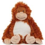orange-orangutan