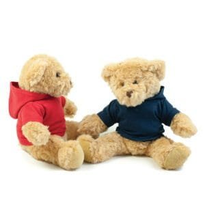Mumbles Teddy hoodie