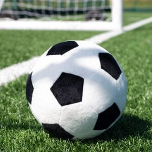 Mumbles Zippie football