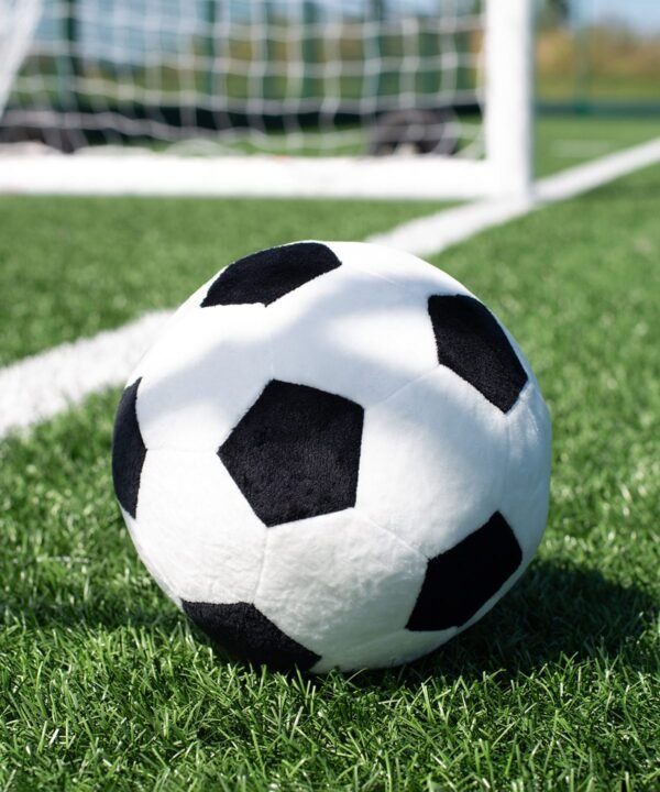 Mumbles Zippie football - Soft Toys | Xcel UK