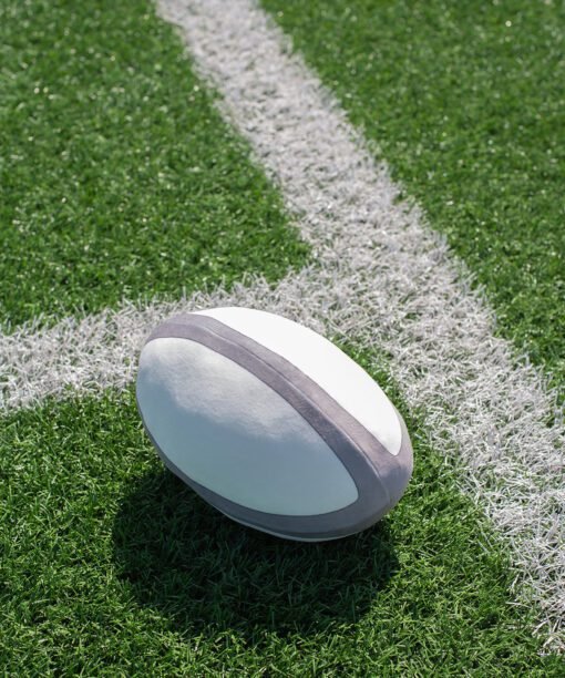 Mumbles Zippie rugby ball