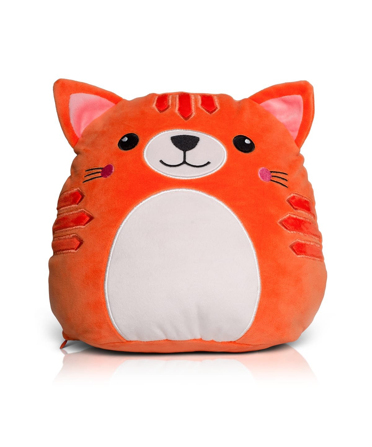 orange-cat