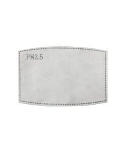 Premier PPS PM2.5 ACTIVATED CARBON FILTER (PACK OF 10)