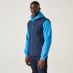 navy-french-blue