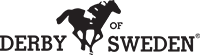 Derby Of Sweden Logo