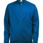 royal-blue